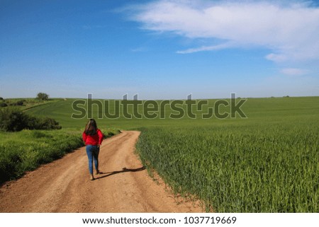 A Young woman enjoys the  beauty of nature, walks on an unpaved road in a beautiful landscape of green wheat field, on a sunny spring day, blue sky Cirrus cloud background Copy Space.