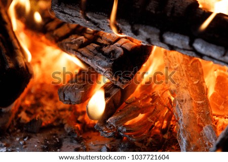 Close up of firewood burning in fire hearth