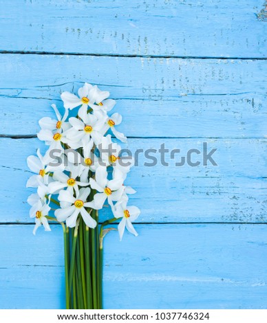 Flower. Daffodil. Spring flowers. Narcissus on blue wooden background. Bouquet of White Daffodils. Vintage Floral background. Greeting for Womens, Mothers Day, Valentine's day. Copy space