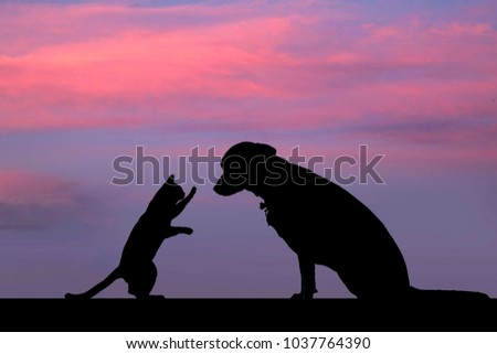 dog and cat silhouette with beautiful background Royalty-Free Stock Photo #1037764390