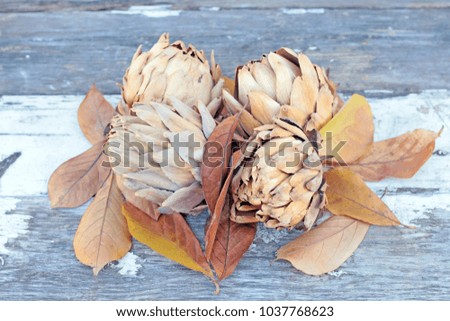 Dried artichoke on the table at market place