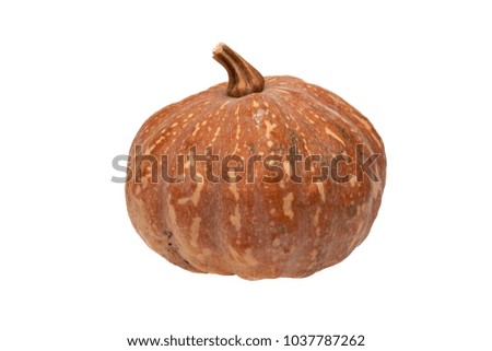 Pumpkin Small vegetable isolated on white background
