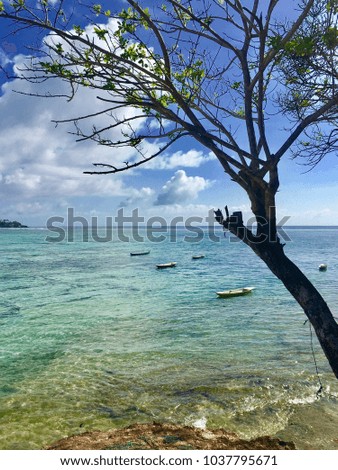 The tropical tree and some boats on limpid sea water background