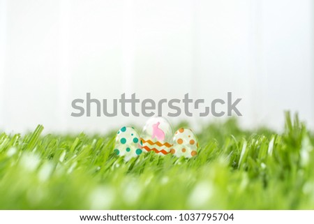 Glass easter eggs on green grass field at white fence in backyard garden. happy easter day concept.leave sapce for adding text.3d rendering