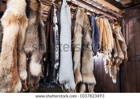 atelier of fur products Royalty-Free Stock Photo #1037823493