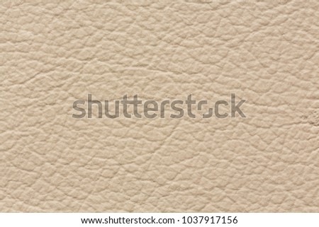 Simple light leather texture with reliefs. High resolution photo.