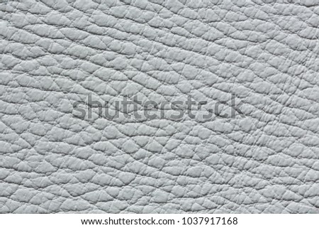 Light grey leather texture for your design. High resolution photo.