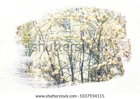reamy and abstract image of white flowers. double exposure effect with watercolor brush stroke texture