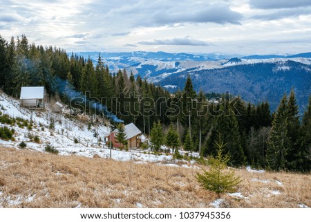 a View on the carpathian pinewood houses.