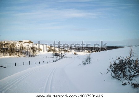Winter wonderland, skiing in beautiful nature