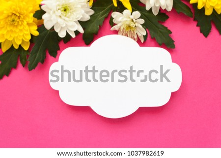 white and yellow chrysanthemums on a pink background