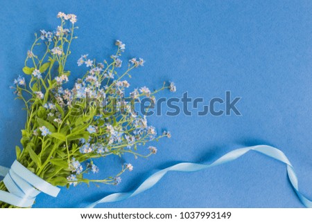 Blue flowers on a blue background empty space for your text, top view