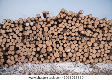 Timber in piles beside a road in a forest in Sweden