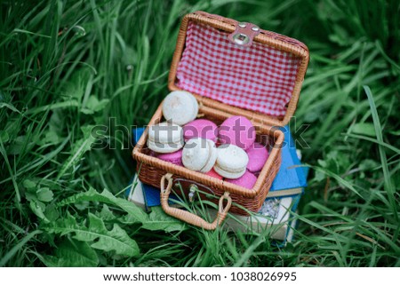 Little box with colorful macaroons stands on the books on a green lawn
