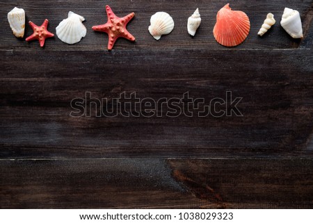 seashells composition on wooden background with copy space