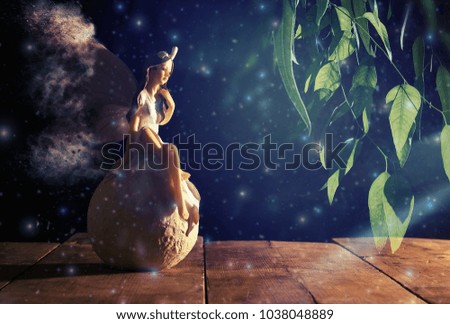 image of magical little fairy sitting over the stone