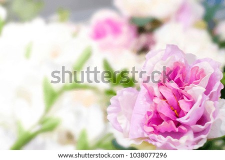 Soft focused on pink floral in flower shop.