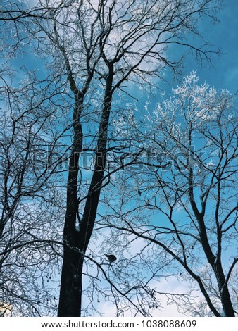 Bright winter cloudy blue skies in Saint Petersburg