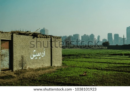 Farmed and green land in Dahab Island with small building in bricks with writings in Arabic (Translation: to live) 
