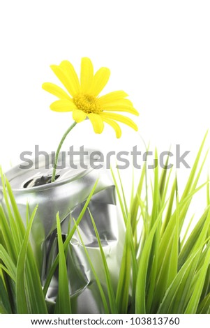 Aluminum can with growing daisy flower on the green grass