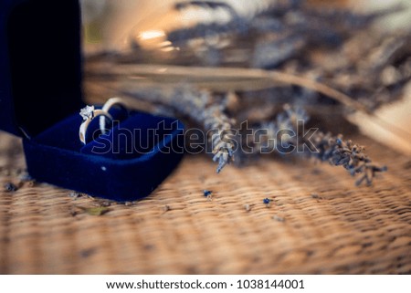 
Engagement ring in blue box and lavandula Royalty-Free Stock Photo #1038144001