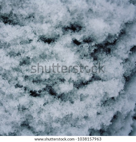 Tree trunk covered with snow. Fluffy snowflakes on the roof. Natural background. Cold winter day. Close up. Winter in Russia. Toned photo.