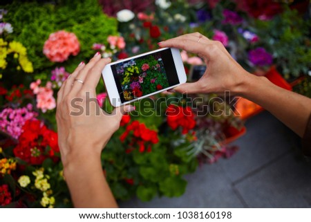 Instagram photographer blogging workshop concept. Close up women's hands holding phone and taking photo of stylish flowers. Colorful flowers on the street market. Space for text. Selective focus.