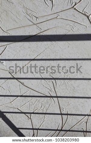 Close up outdoor view of the shadow of a metallic gate with thin bars. Silhouette of parallel oblique lines drawn on a rough white wall. Graphic urban image taken in a street city. Modern design.