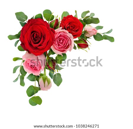 Red and pink rose flowers with eucalyptus leaves in a corner arrangement isolated on white background. Flat lay. Top view.