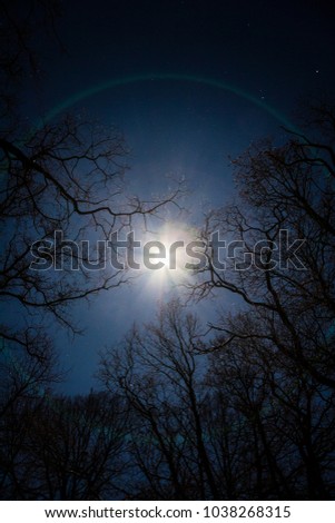 The full moon taken in a clear winter night through trees