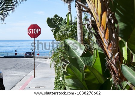 Pedestrian street road sign stop near the ocean or a pond sunny day, road, car, greenery summer heat, California, resort, walk through the city, resort, embankment, palm trees, bushes.