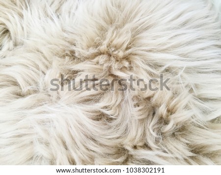Fur Texture, Wool background