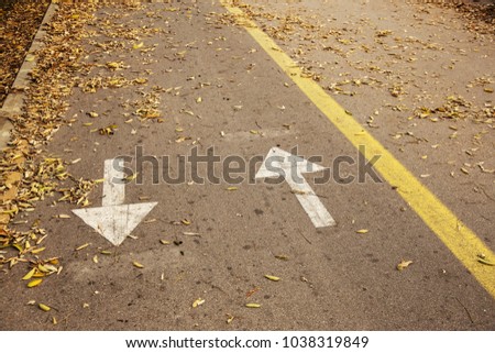 Bike Lane. Marking with directional arrows on the bicycle path in the city park. Outdoor sports, fitness and active lifestyle. The sign of the bike route on the road and the direction of the arrows