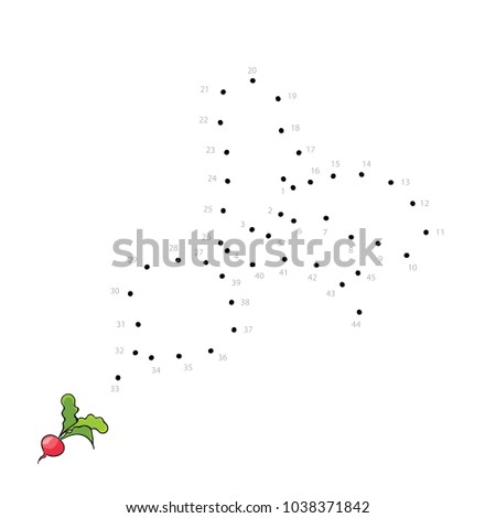Vector radish for kids drawing. Child vegetable educational game page.
