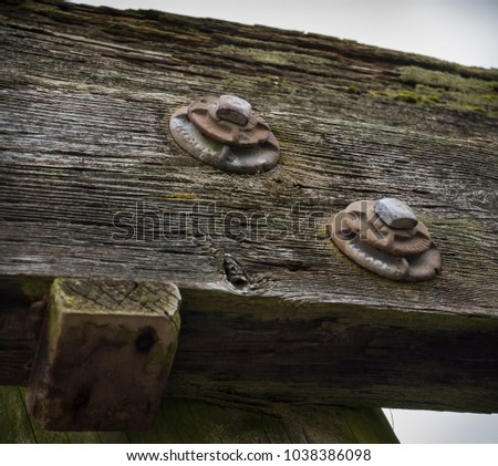 Two Rusty Old Bolts On Mossy Wooden Pier