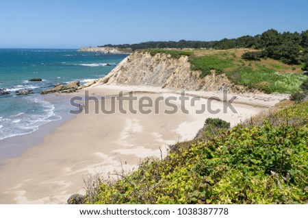 Family Walking on Quiet California Beach