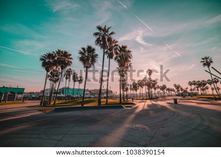 Venice beach sunrise palm trees

