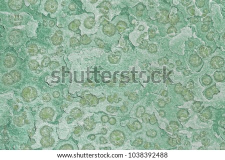 green board slate  background