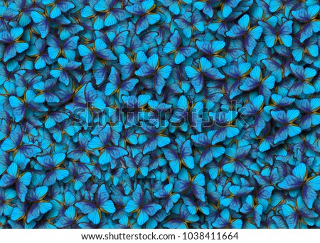 Blue abstract texture background. Butterfly Morpho. Wings of a butterfly Morpho. Flight of bright blue butterflies abstract background.