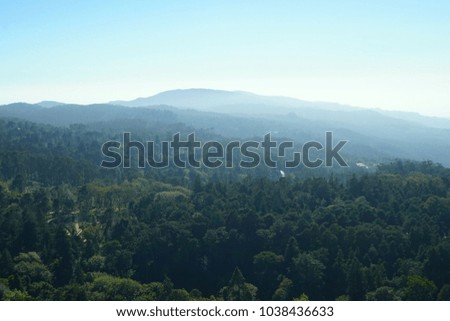 Scenic view of forrest and mountains 