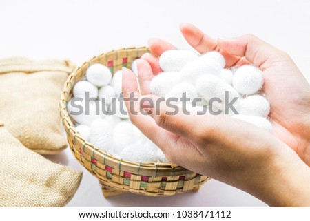 woman hand holding white silk cocoon on white background