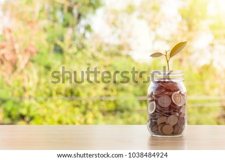 Coin in glass bottle or plant growing on coins in glass jar on wooden table with blurred green nature background. Money stack for business planning investment. Investment and saving concept Royalty-Free Stock Photo #1038484924