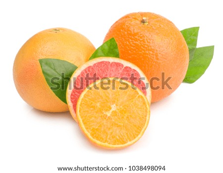 citrus (orange, grapefruit) - isolated on white background