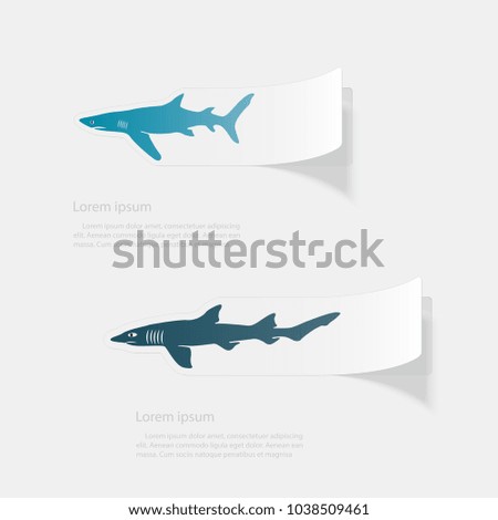 Shark. Flat sticker with shadow on white background. Vector illustration