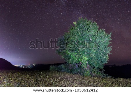 Green tree on a hill under night sky with stars. Version 2.