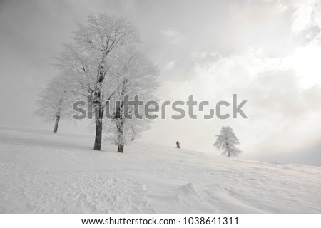 Snow covered fir trees on the background of panoramic view of the picturesque snowy winter sky in Goderdzi, Georgia