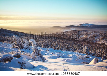 Harz mountains winter Royalty-Free Stock Photo #1038660487