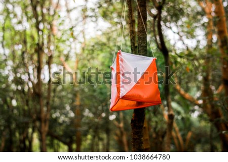 Orienteering box outdoor in a forest Royalty-Free Stock Photo #1038664780