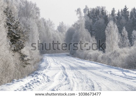 frosty and snowy winter in countryside