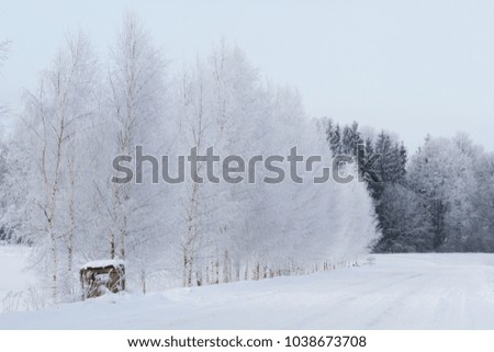frosty and snowy winter in countryside